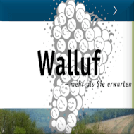 walluf25